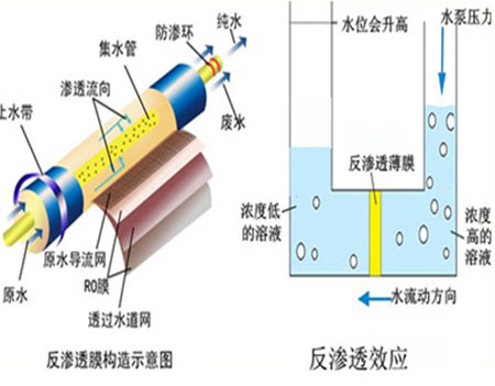 Reverse osmosis membrane