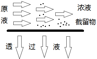 Picture2.png