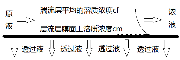 Picture1.png