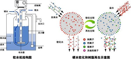 Softened water structure