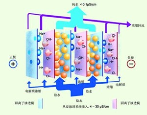 EDIModule